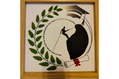 Quadri vegetali linea laurea